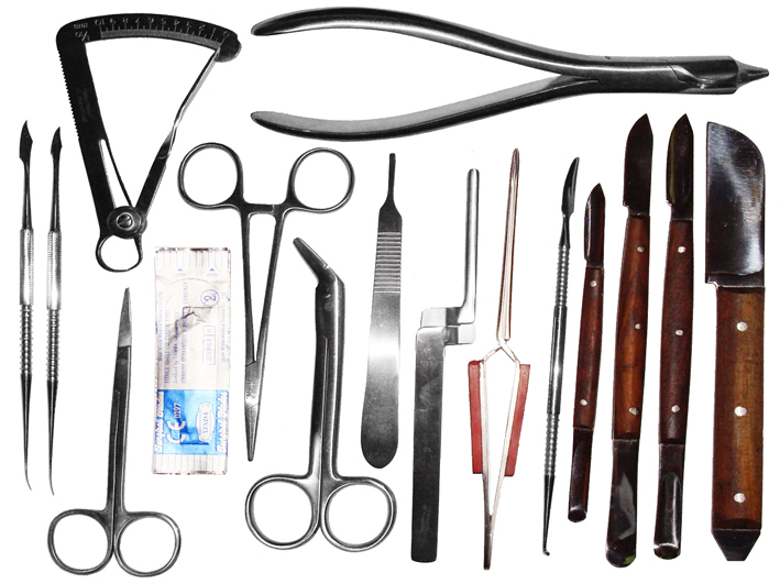 15 Zahntechnische Instrumente Dentallabor Azubi-Set Zahntechnik Meisterset