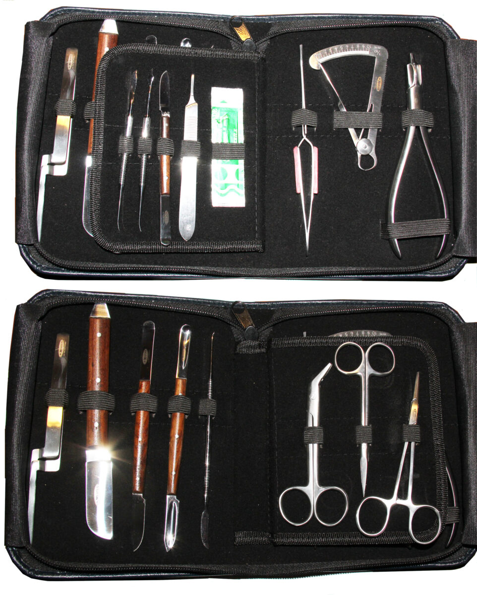 15 Zahntechniker Instrumente Modellierinstrumente Dentallabor Zahntechnik