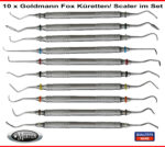 Goldmann-Fox  Scaler - Küretten im Set / Crane Caplan