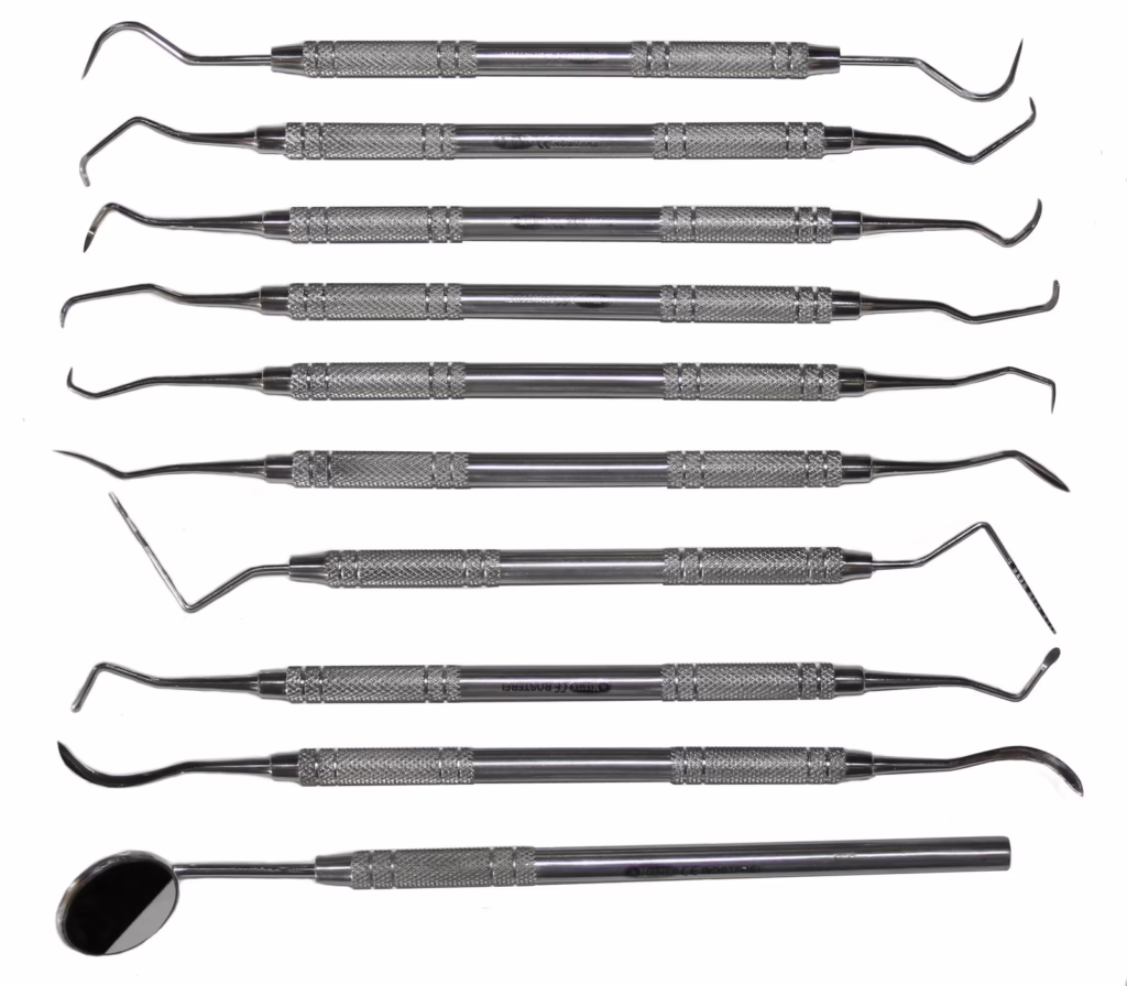 10 Instrumente professionelle Zahnreinigung + Mundspiegel + Parodontometer